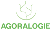 Agoralogie